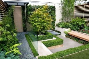 Compact Modern Garden