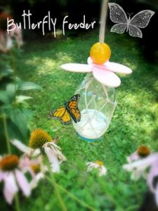 DIY Butterfly Feeder