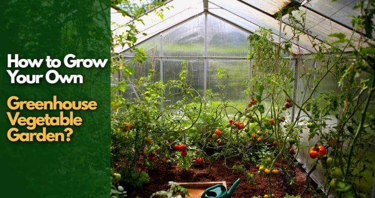 Greenhouse Vegetable Garden