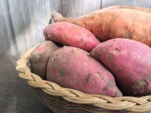 How to Harvest and Store your Sweet Potatoes
