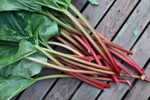 How to Plant, Grow and Care for Rhubarb