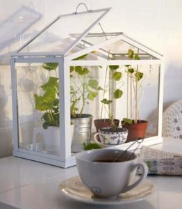 Indoor Mini Greenhouse