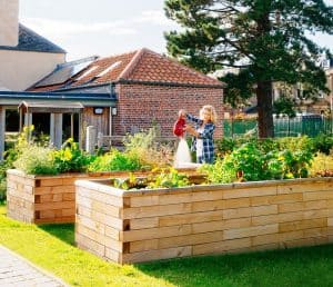 Raised Planter Beds Using Timber