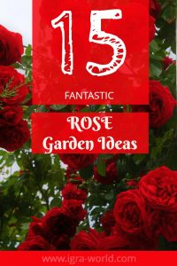 Rose garden ideas