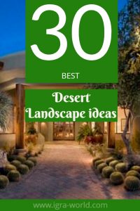 desert landscape ideas