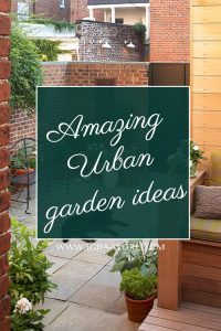 urban garden ideas