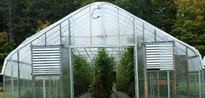 vegetable greenhouse garden