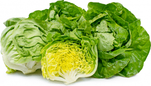 type of lettuce