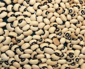 Find Healthy Black Eyed Peas’ Seeds
