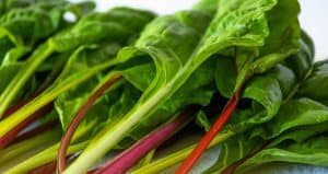 When to Plant Swiss Chard