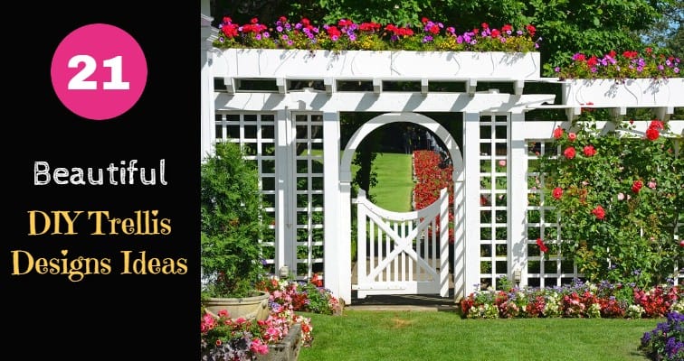 Beautiful Diy Trellis Design Ideas, Garden Trellis Decoration Ideas