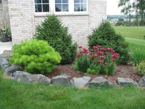 Bushes and Flowers with Natural Rock Borders