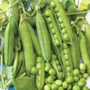 types of English peas