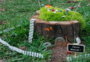 Fairies Home ideas in tree stump