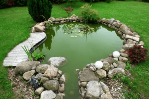 Green backyard Pond