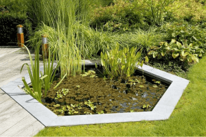Hexagonal Water Garden ideas