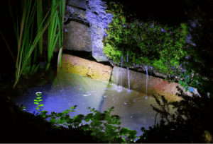 Illuminated Backyard Pond ideas