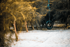 One Rope Tire Swing