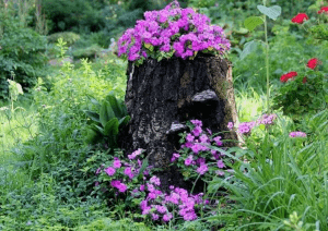 Simple Tree Stump ideas with purple flowers