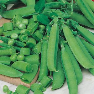 varieties of sugar snap peas