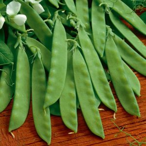 types of snow peas