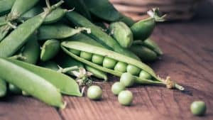 varieties of peas