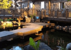 Swimming backyard Pond ideas