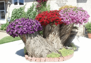 Twisted Tree Stump ideas Planter with purple red flowers on it