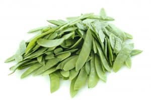 Types of snow peas