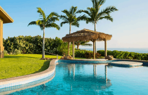 Uncomplicated pool Cabana Idea with palm tress