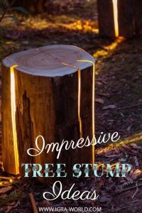 tree stump ideas