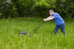 How to Cut Tall Grass
