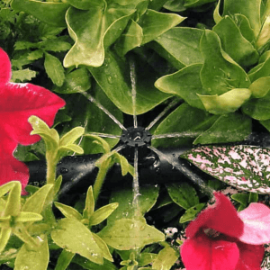 Types of Sprinklers for lawn