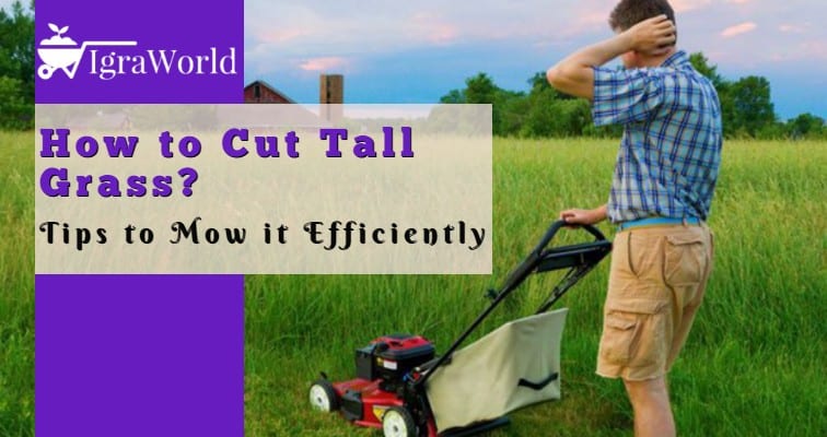 how to cut tall grass
