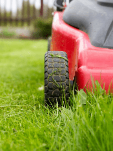 how to mow wet grass