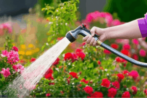 water sprinkler for flowers