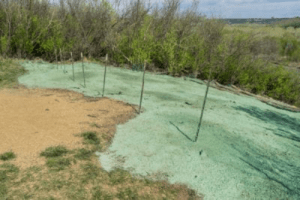 what is hydroseeding process