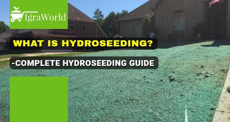 what is hydroseeding