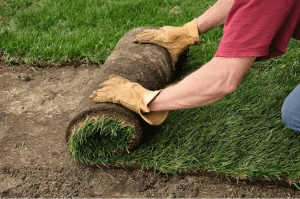 how to lay sod in garden