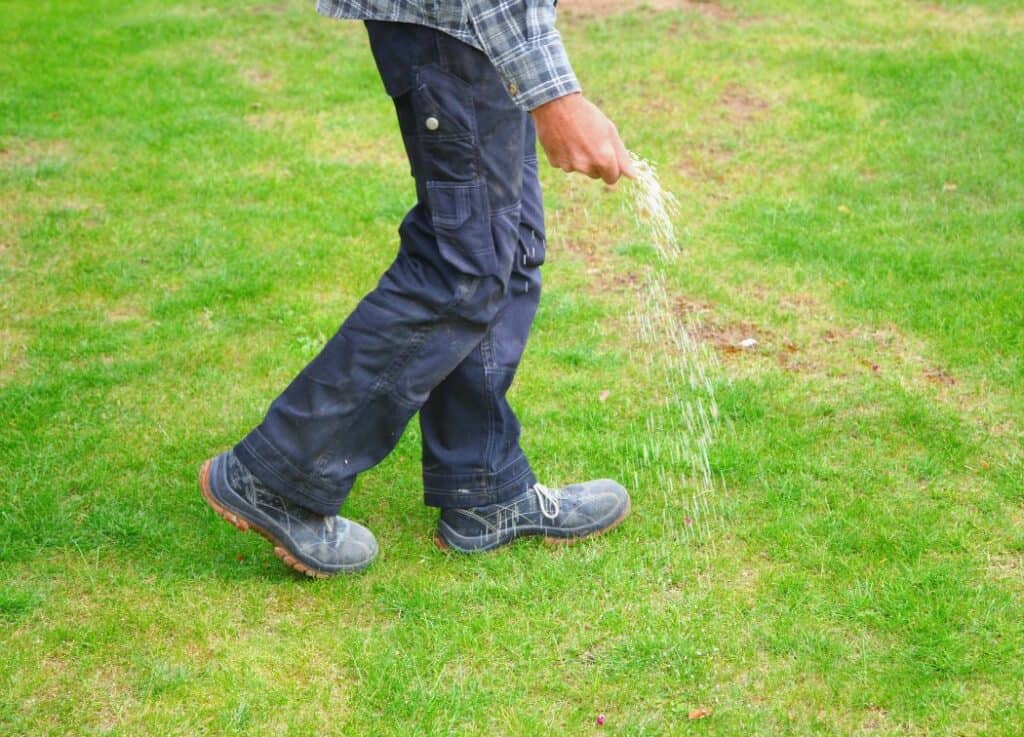 How to Apply Ironite Fertilizer on Your Lawn