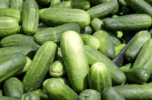 Kirby Cucumber varieties