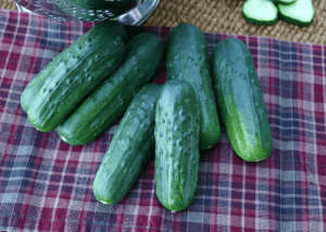 Supremo Cucumber varieties