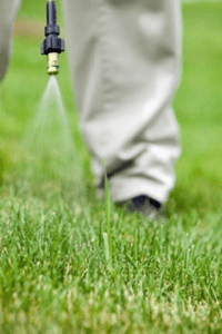 When to Apply Pre-Emergent Herbicide
