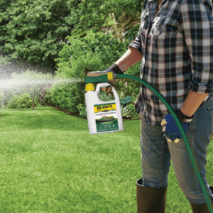 how to apply ironite for lawn