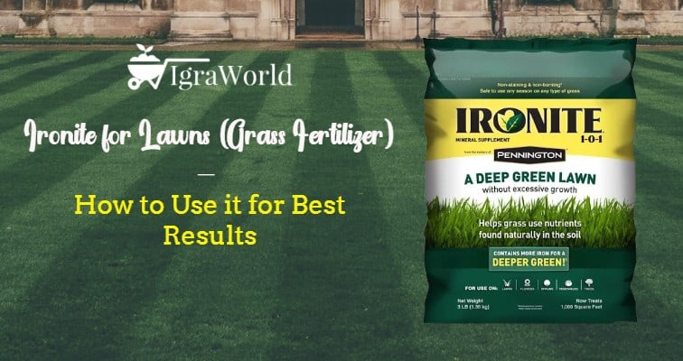 ironite for lawns