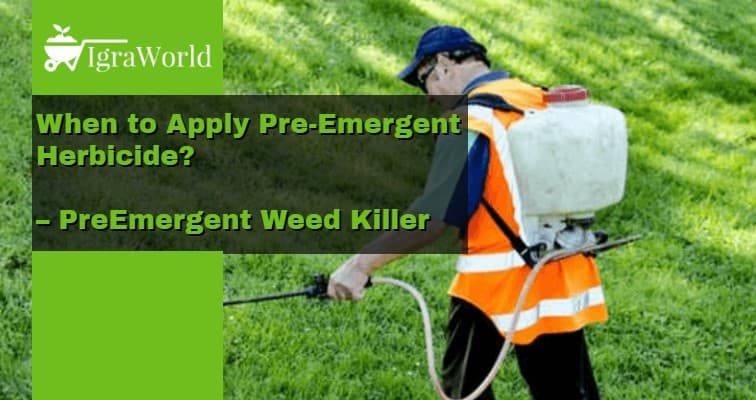 pre emergent herbicide weed killer