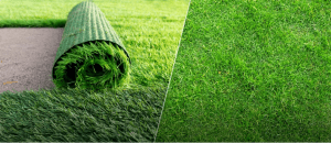 Artificial or Natural Turf for Golf Course Grass