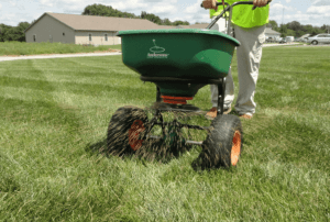 how to Fix Patchy Grass
