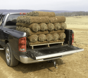 How Much Does a Sod Pallet Cost