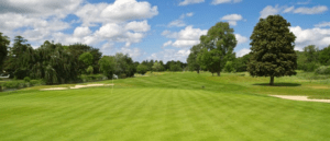 bentgrass for golf course grass